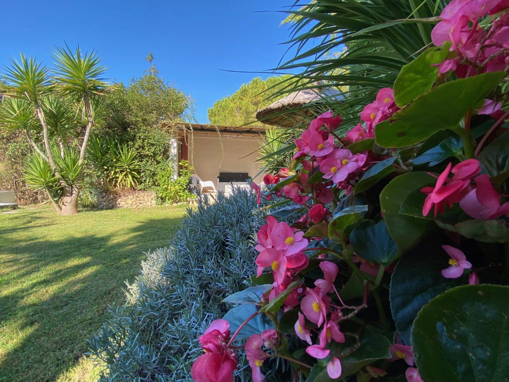Lemodernlounge, Hebergement Cosy Moderne Spacieux Balaruc-les-Bains Exterior foto
